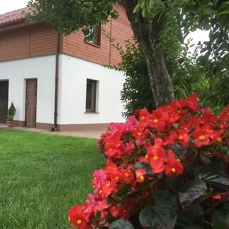 Kasztanowa *